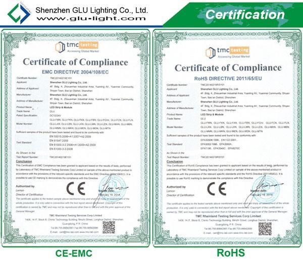 Color Changing 5050 RGB LED Neon rope Flex Light Strip with CE/RoHS DC12V/24V high quality Neon RGB led strip , 12V/24V dot free RGB Neon led strip