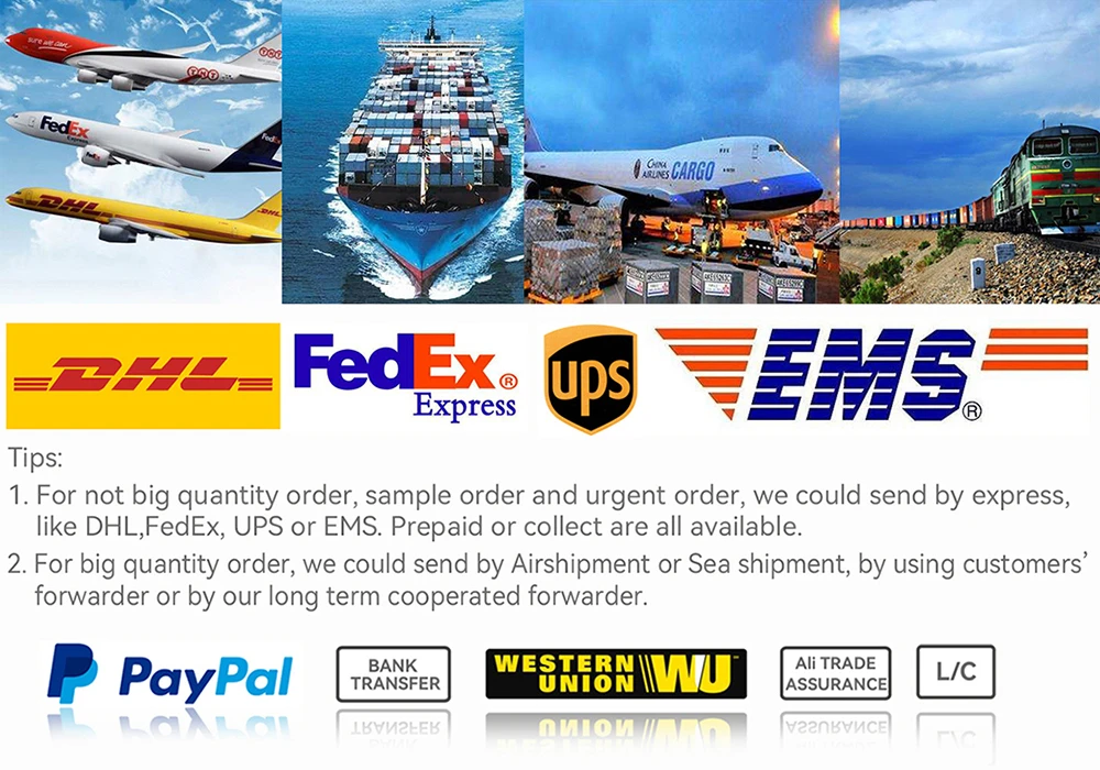 Shipping and Payment Shipping and Payment