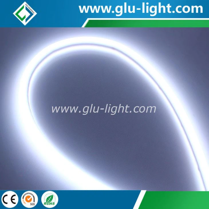 High brightness dot free 24V 120leds/m 5050 RGB LED Neon rope Flex Light Strip