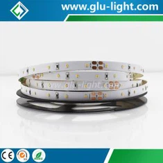 Tira flexible de LED 2216 sin puntos de alta densidad CRI RA90 de gran oferta de calidad estupenda