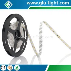 Cinta LED 2835 de alto efecto luminoso
